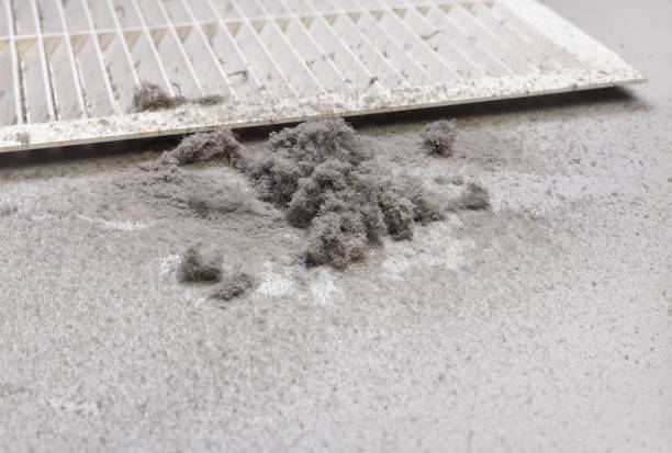 Best Air Vent Cleaning Services  in Holley, NY